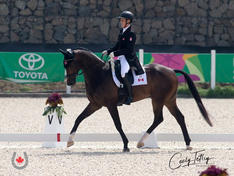 Canadian Eventing Team Sitting Second in the Tokyo Race after Dressage at Lima 2019 Pan Am Games
